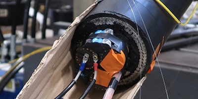 DYNAMO Report - Dynamic cables