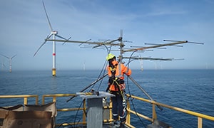 A dedicated team to study the interactions between marine biodiversity and offshore Wind