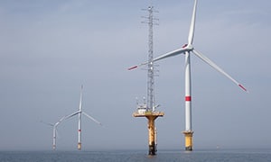 Dedicated means for studying the interactions between marine biodiversity and offshore wind power