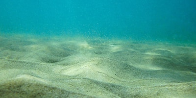 COME3T bulletin n°14 - Turbidity