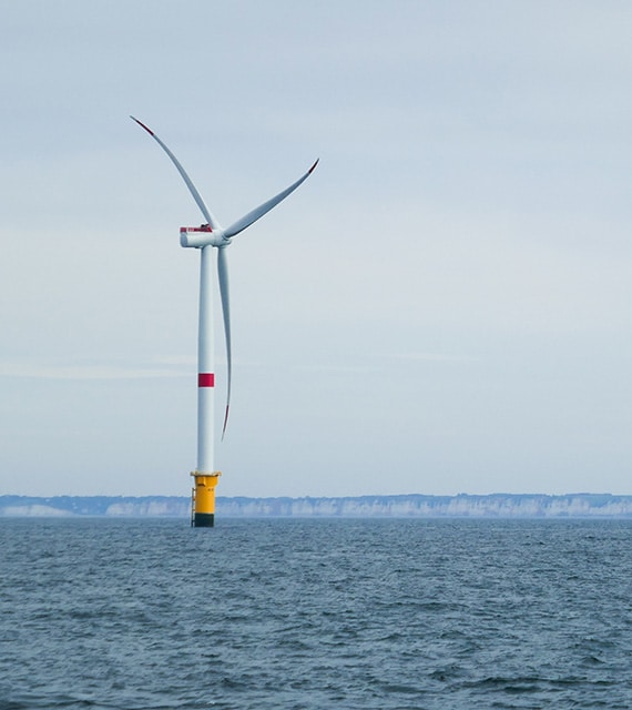 Anticipating the cumulative impacts of offshore wind on the marine ecosystem