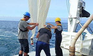 A team dedicated to modelling the cumulative impacts of offshore wind on the marine ecosystem