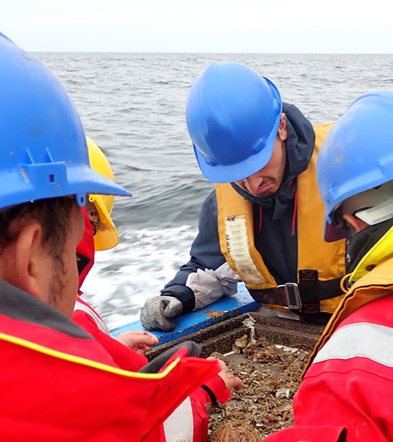 Notre équipe R&D dédiée à l’éolien en mer