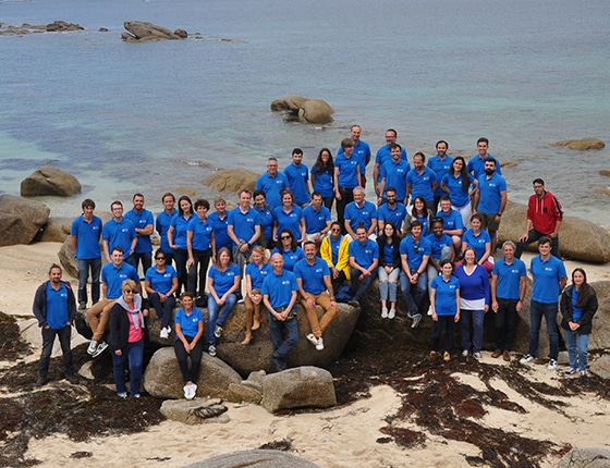 A multidisciplinary team
