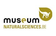 Logo Institut royal des Sciences naturelles de Belgique