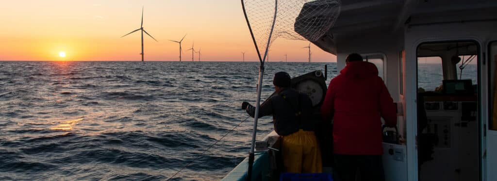 Poissons et parcs éoliens en mer