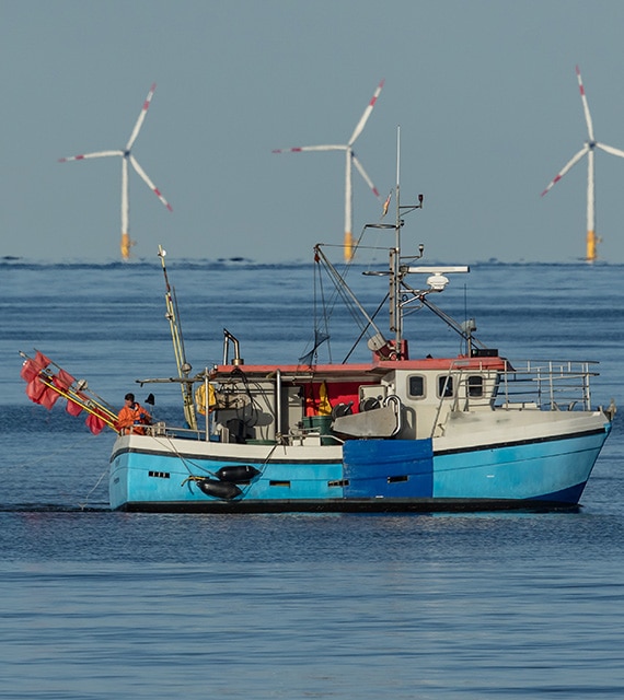 FISHOREMAN Project