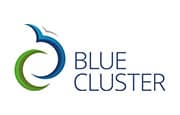 Logo Blue Cluster